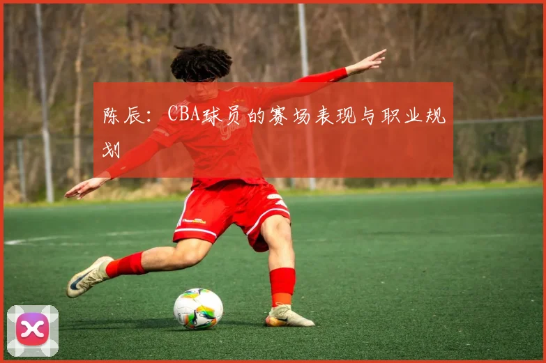 陈辰:CBA球员的赛场表现与职业规划