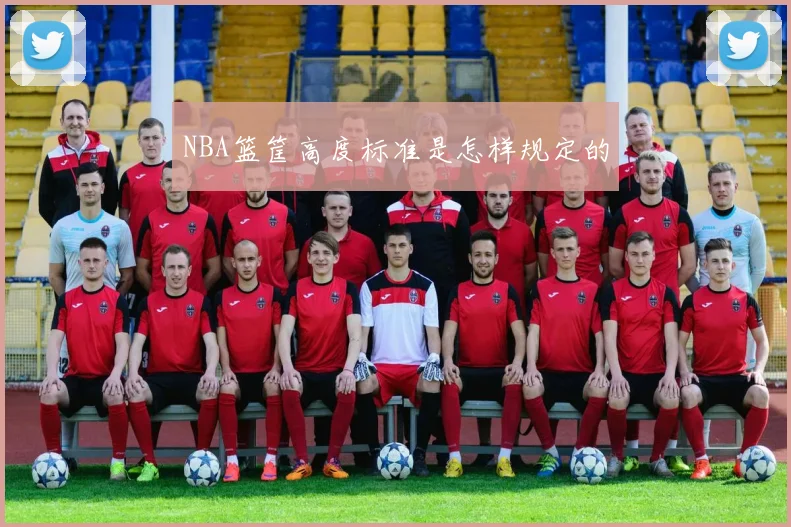 NBA篮筐高度标准是怎样规定的