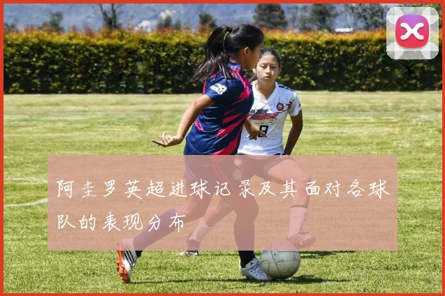 阿圭罗英超进球记录及其面对各球队的表现分布