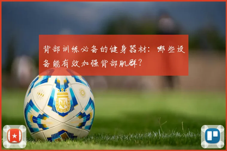 背部训练必备的健身器材：哪些设备能有效加强背部肌群？