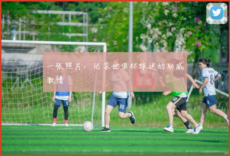 一张照片,记录世俱杯球迷的助威激情